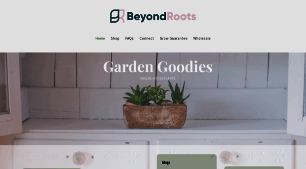 beyondroots.co