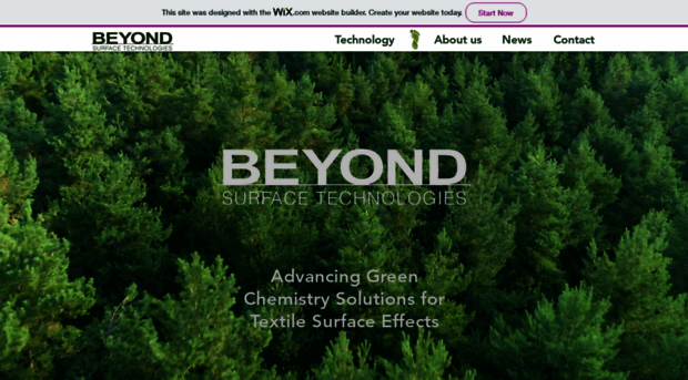 beyondst.com