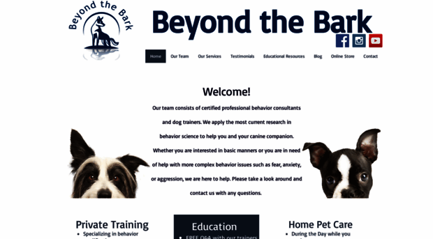 beyondthebarktraining.com