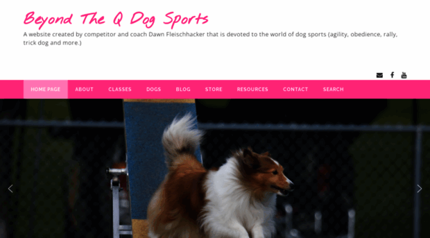 beyondtheqdogsports.com