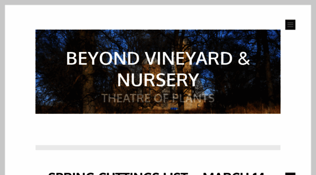 beyondvineyard.com