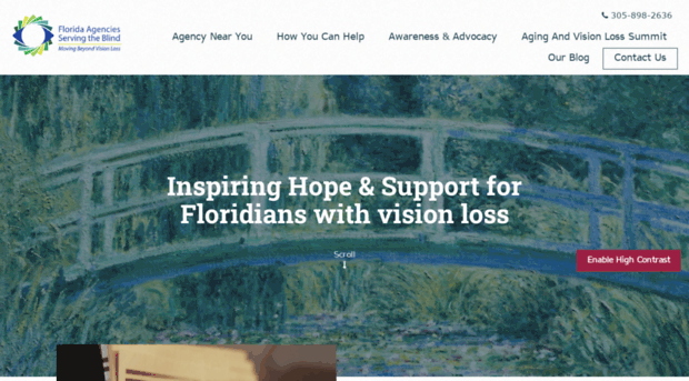 beyondvisionloss.org