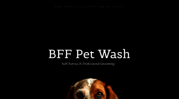 bffpetwash.com