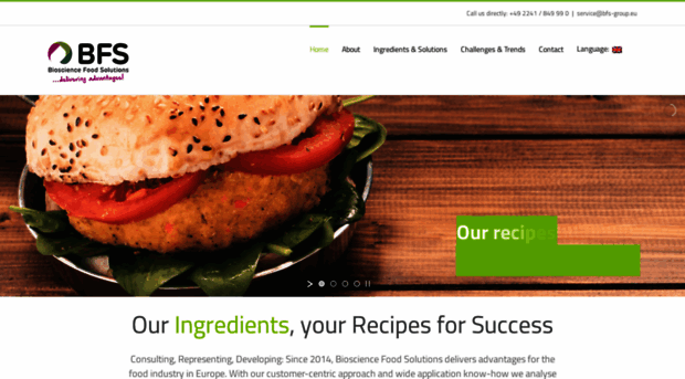 bfs-group.eu