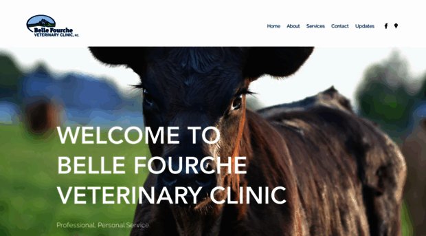 bfvetclinic.com