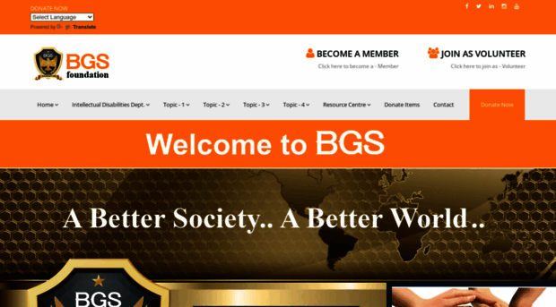 bgsfoundation.org