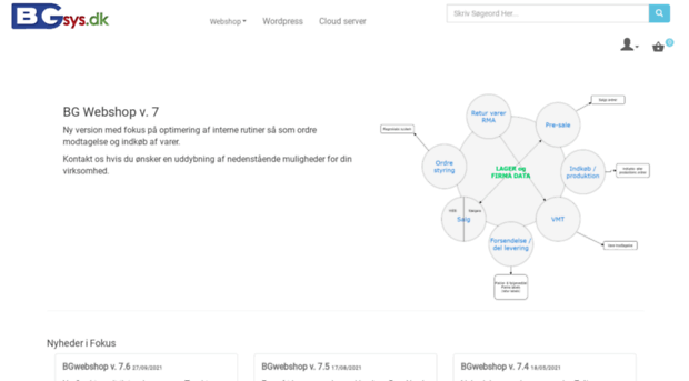 bgsys.dk