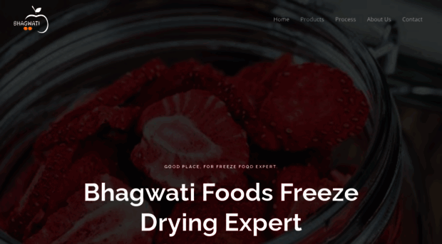 bhagwatifoods.in