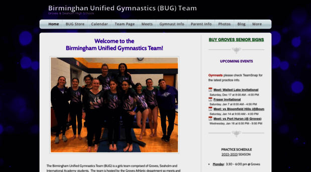 bhamgymnastics.com