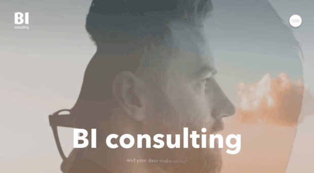 bi-consulting.com