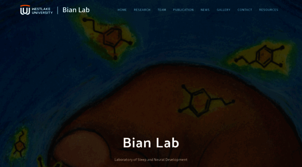 bianlab.site