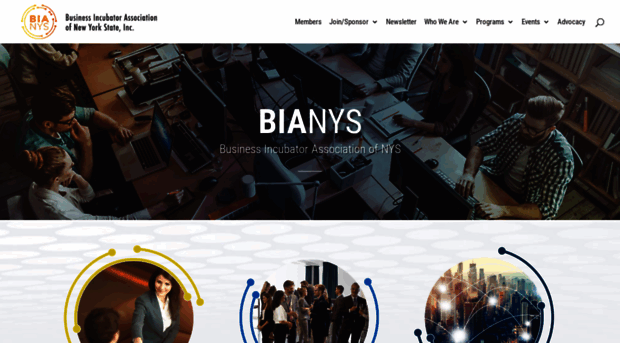 bianys.com