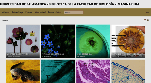 bibbiologia.usal.es