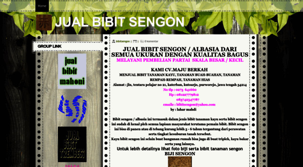 bibitsengonn.blogspot.com