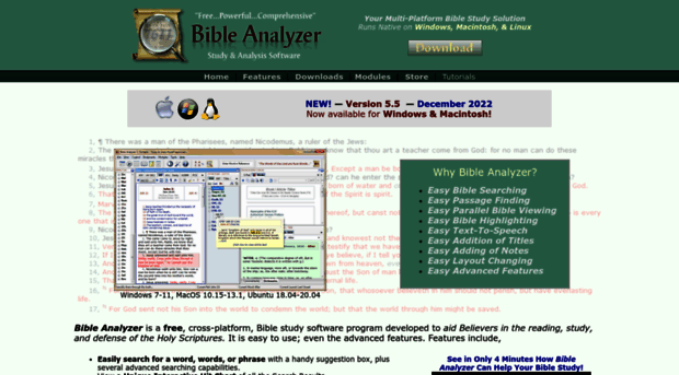 bibleanalyzer.com
