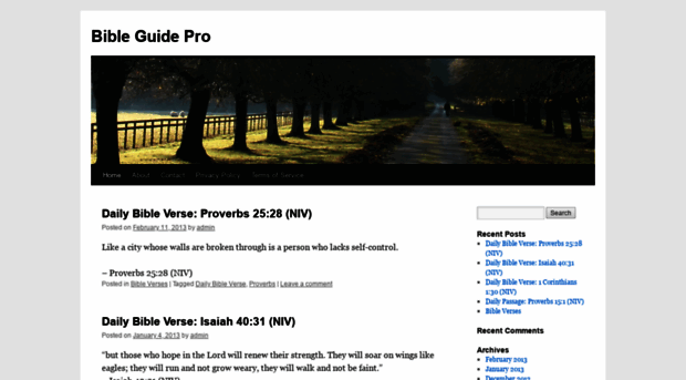 bibleguidepro.com
