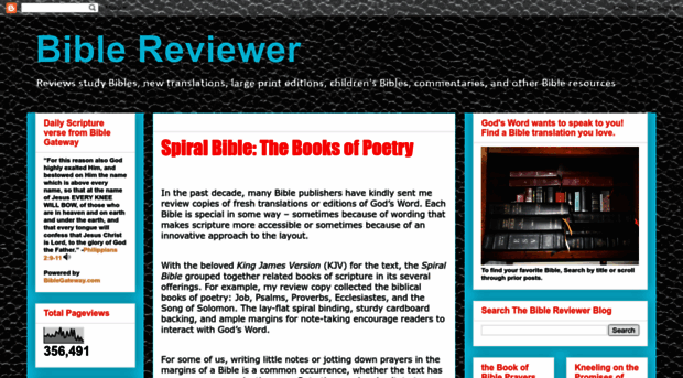 biblereviewer.blogspot.com