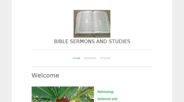 biblesermonsandstudies.wordpress.com