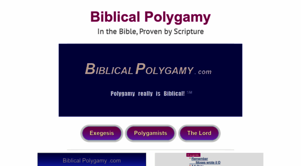 biblicalpolygamy.com