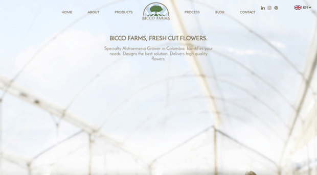 biccofarms.com