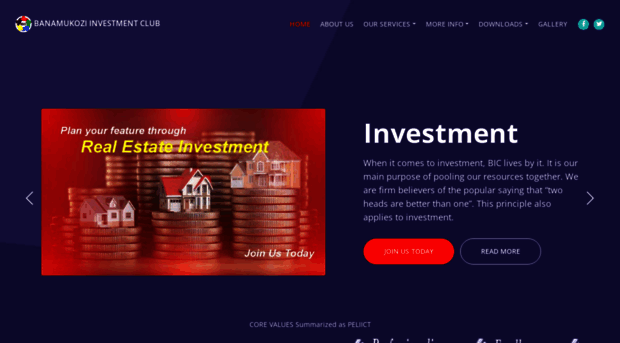 bicinvests.com