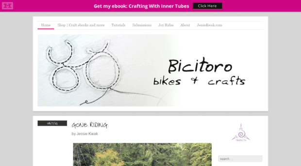 bicitoro.com