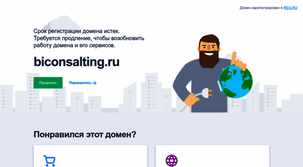 biconsalting.ru