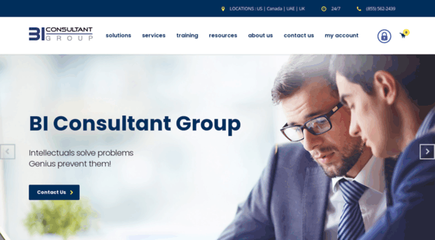 biconsultantgroup.com