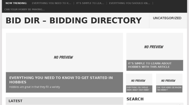 bid-dir.com