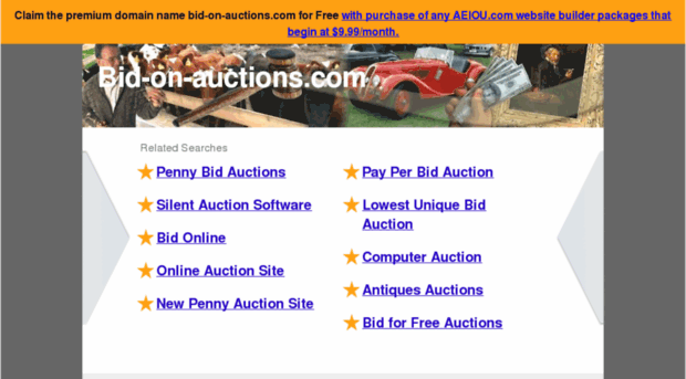 bid-on-auctions.com