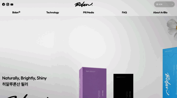 bidanfiller.com