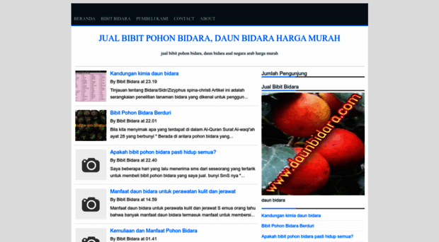 bidara-sidr.blogspot.com