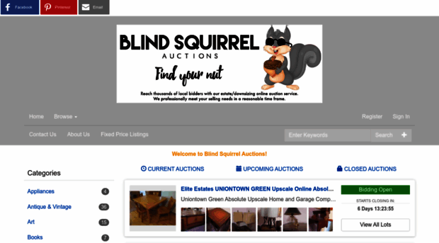 bidblindsquirrelauctions.com