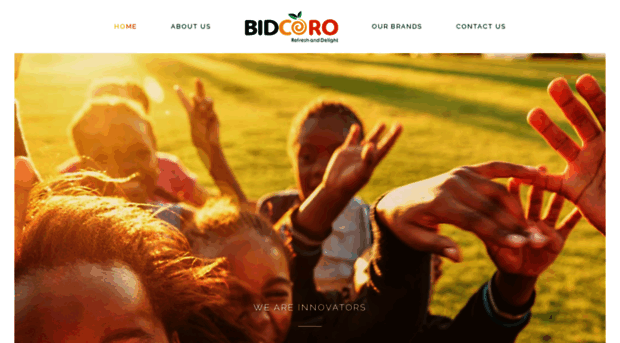 bidcoroafrica.com