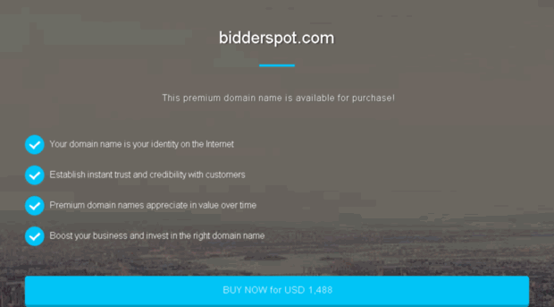 bidderspot.com