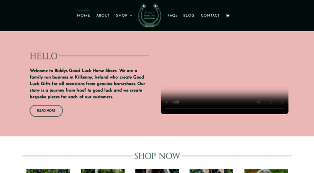 biddysgoodluckhorseshoes.com