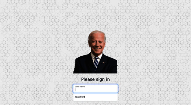 bidencash.live