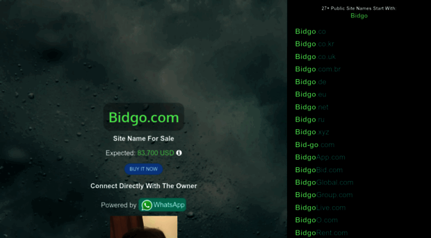bidgo.com