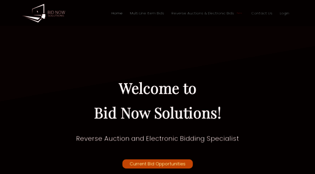 bidnowsolutions.com