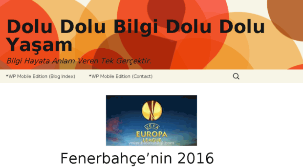 bidolubilgi.com