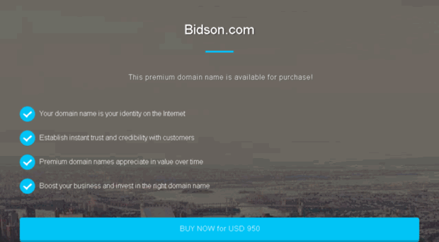 bidson.com
