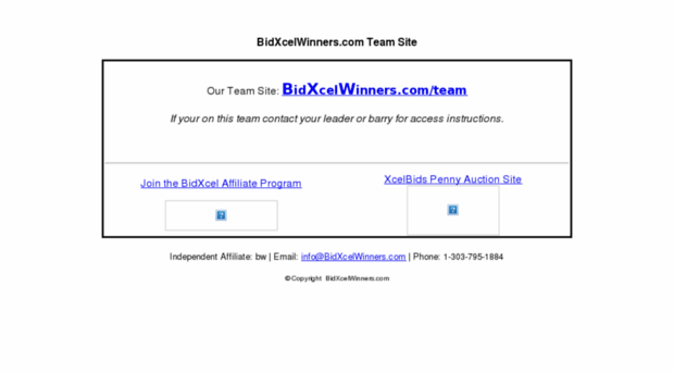 bidxcelwinners.com