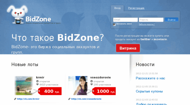 bidzone.ru