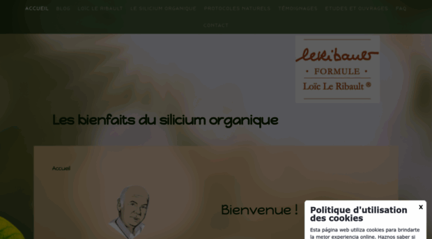 bienfaitsdusilicium.com