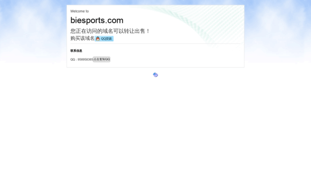 biesports.com