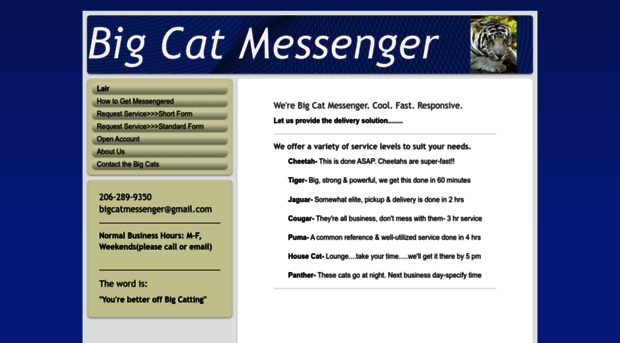 big-cat-messenger.com