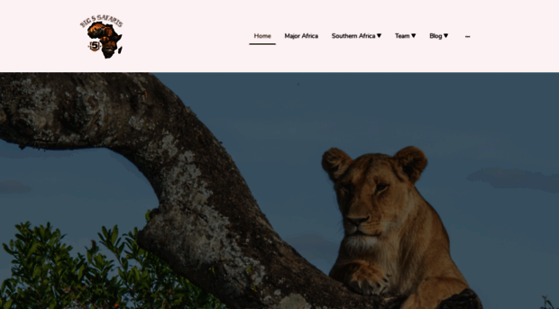 big5safaris.co.uk