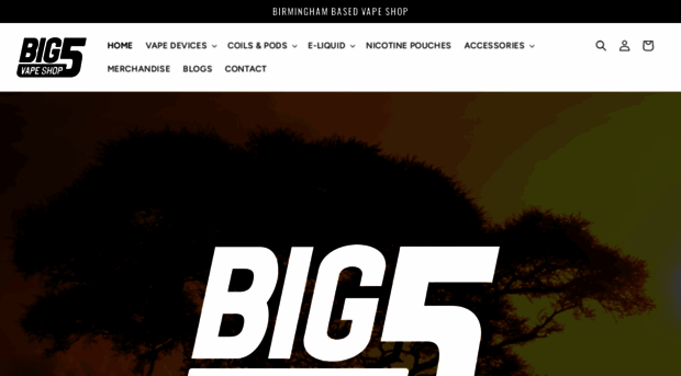 big5vapeshop.com