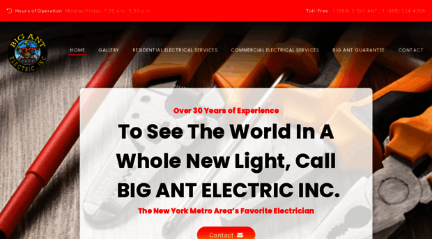 bigantelectric.com