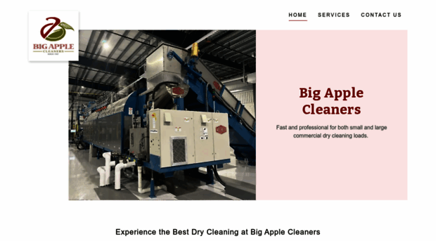 bigapplecleaners.com